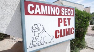 PHOTO IMAGES-Camino Seco Pet Clinic AZ (104 of 135) [800x600]   